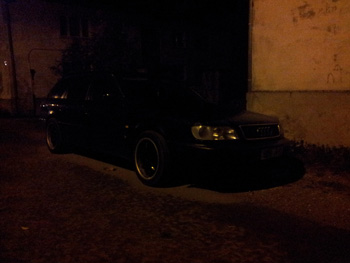 Pilt